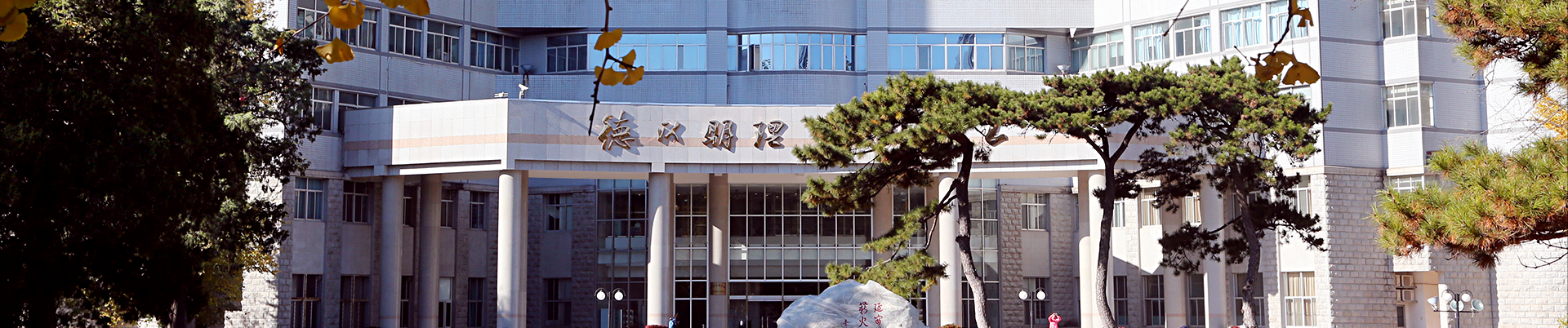 电子游戏